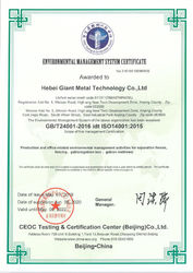 Hebei Giant Metal Technology co.,ltd