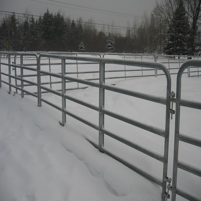 Le corral de vente chaud de barrière résistante/cheval de panneau de bétail des Etats-Unis 12 pi lambrisse 12 pi en métal galvanisé résistant portatif