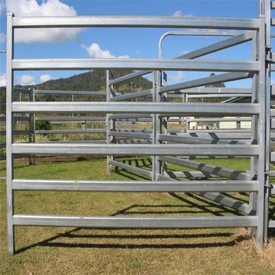 Le PVC enduit a galvanisé des bétail en métal de 12ft lambrisse le métal résistant autour de la barrière de yard de cheval de Pen Cattle Corral Livestock Farm