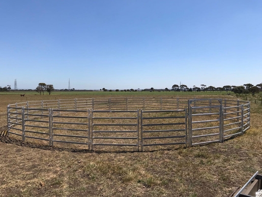 Le PVC enduit a galvanisé des bétail en métal de 12ft lambrisse le métal résistant autour de la barrière de yard de cheval de Pen Cattle Corral Livestock Farm