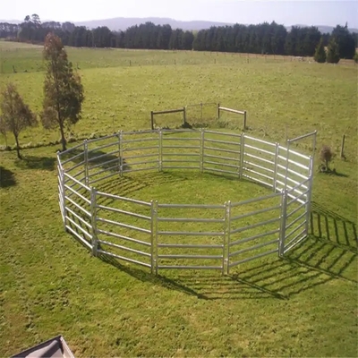 panneau galvanisé bon marché de corral de barrière de cheval de yard de bétail, panneau de bétail