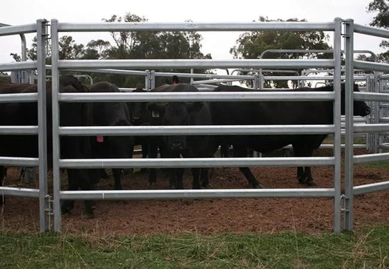 Bétail en acier portatifs de Panels Galvanized For de barrière d'animaux d'élevage de l'Australie
