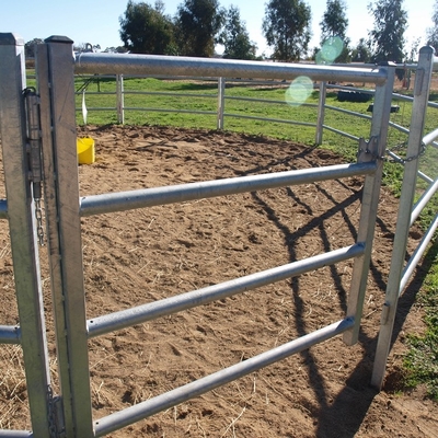 Le bétail lambrisse 6 panneaux de clôture de bétail galvanisés par bétail de clôture de fil de porc de barre ovale