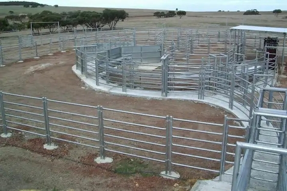 La barrière ronde Panels Heavy Duty de bétail en métal du tube 6ft a galvanisé le corral