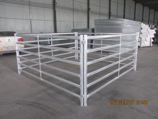 Le cheval barrière Panels Hot Dip de bétail de 2.1m x de 1.8m a galvanisé le tuyau
