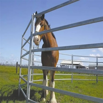 Le cheval barrière Panels Hot Dip de bétail de 2.1m x de 1.8m a galvanisé le tuyau