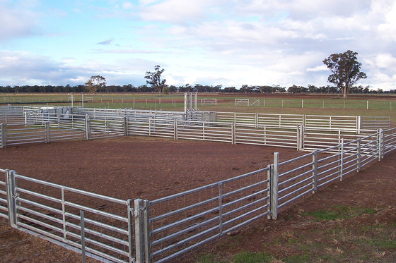 Les prix de gros 1.6M Galvanized Cattle Panels ont soudé la barrière Panels For Farm de moutons de cheval de bétail