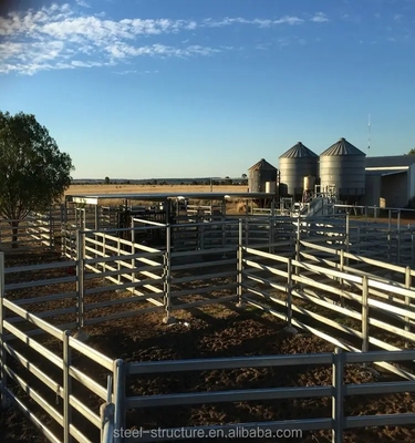 Les prix de gros 1.6M Galvanized Cattle Panels ont soudé la barrière Panels For Farm de moutons de cheval de bétail