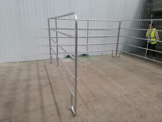 30x60 mm panneaux de clôture de bétail galvanisés