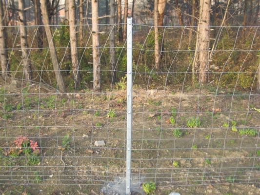 Barrière Panels For Deer de bétail de champ de HGMT 1.8m