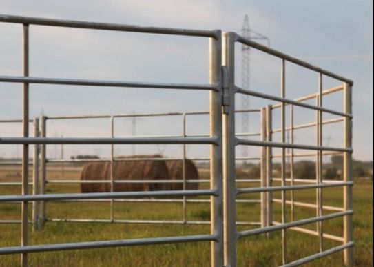 barrière Panels de bétail de 6 6ft galvanisée par rails