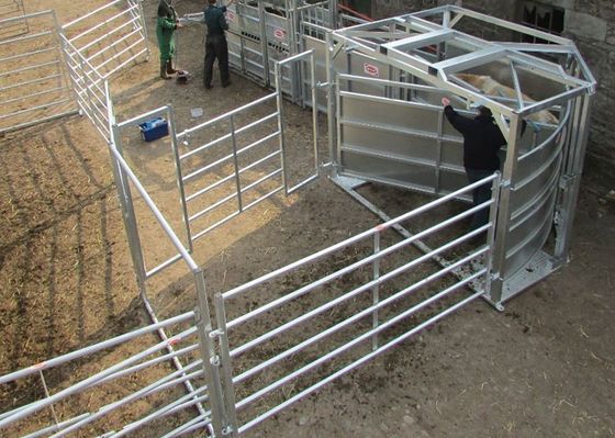 Barrière Panels For Cattle de bétail soudée par tube carré