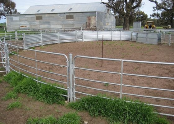 barrière Panels de bétail galvanisée 3 par rails en métal