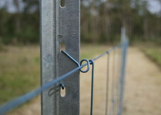 Poteaux en acier Y galvanisés de 1500 mm pour clôture de jardin