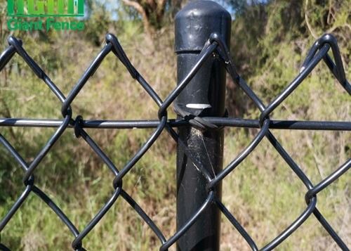 Le PVC a enduit le fil décoratif Mesh Fencing de maillon de chaîne du périmètre 2mm de jardin