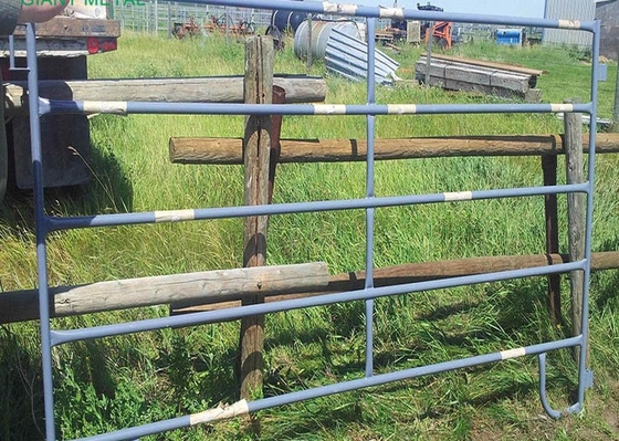 La clôture provisoire de corral du jardin 1.6m lambrisse le fer de production animale