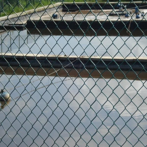 dernières nouvelles de l'entreprise Mesh Security Chain Link Fence  0