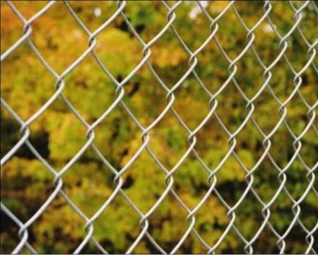 dernières nouvelles de l'entreprise Mesh Security Chain Link Fence  1