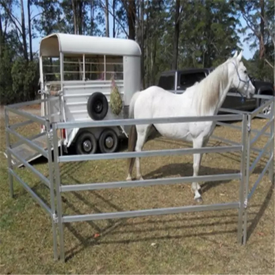 ODM galvanisé d'OEM de portes de barrière de ferme de bétail de 12 pieds disponible
