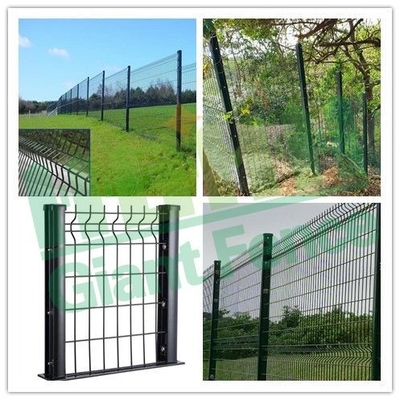 Rameau de treillis métallique soudé en PVC enduit en 3D courbé pour le jardin et la protection agricole