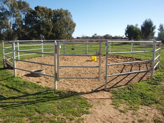 Panneaux de barrière de bétail de l'acier 1.6m de zingage soudés pour la ferme