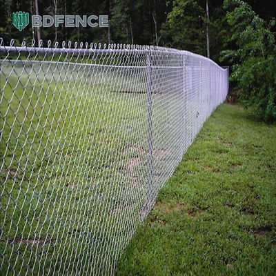 Fence à chaîne de 6 et 8 pieds avec revêtement en PVC et finition galvanisée