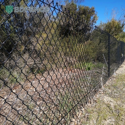 6 pieds de hauteur de diamants mesh chaîne de liaison de clôture idéale pour le jardin vert ferme type poste carré