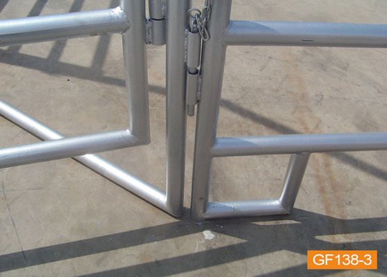 Barrière en acier galvanisée Panels de bétail des tubes H1.8m