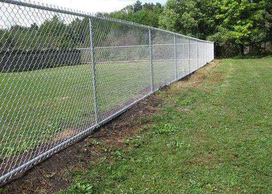 Zoo protégeant le fil Diamond Chain Link Fence de 5mm