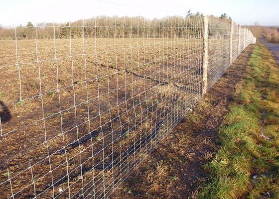 Barrière Livestock Fence Panels de ferme de Field Fence Galvanized de barrière de joint de charnière