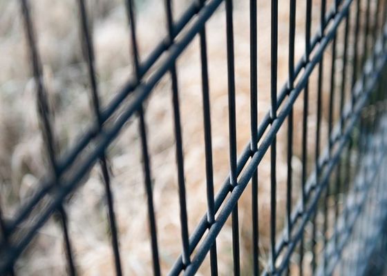Fil Mesh Fencing de double du panneau H1500mm de