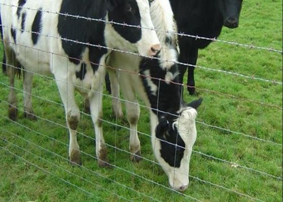 Le bétail galvanisé empêche la barrière commune de champ de ferme de fil de page de charnière