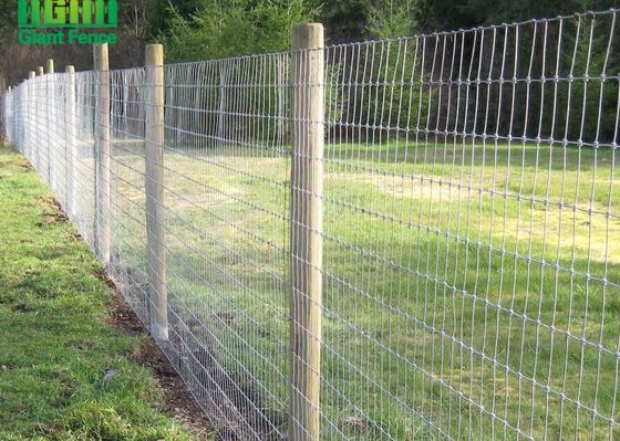 Panneaux de Mesh Fixed Knot Livestock Fence de fil d'acier de HGMT
