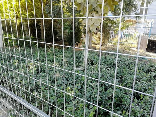 Panneaux de clôture galvanisés temporaires pour chantier de construction