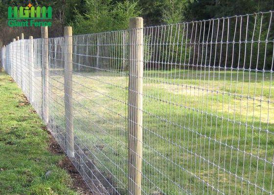 Barrière tissée en acier galvanisée de panneau de ferme de joint de charnière de fil