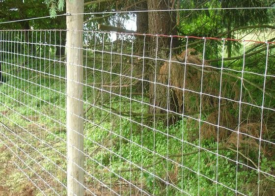 Barrière tissée en acier galvanisée de panneau de ferme de joint de charnière de fil