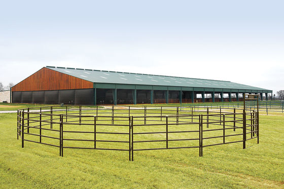Les bétail portatifs galvanisés résistants de ferme lambrisse la taille de 1.7m
