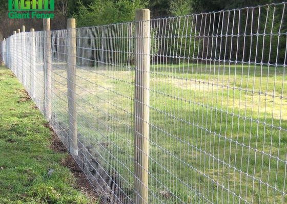 Barrière fixe galvanisée plongée chaude Panels de bétail de taille du noeud 0.8m