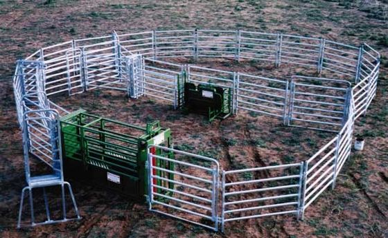 Tuyau de l'Australie galvanisé autour de hauts panneaux en acier de corral de 1.6m