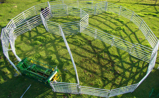 Les bétail de longueur d'OIN 2.1m clôturent la ferme de Panels For Livestock
